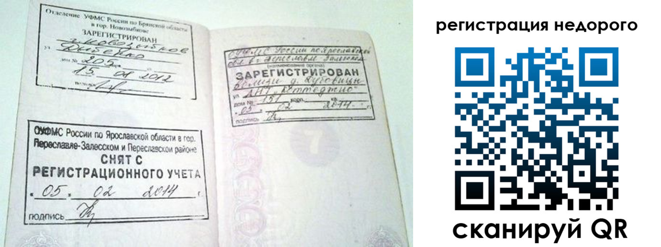 временная регистрация гарантия в Светлом
